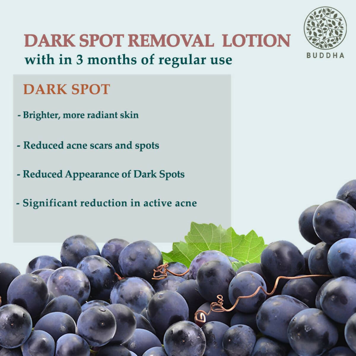 Buddha Natural Dark Spot Removal Body Lotion - Helps With Brighten & Even skin Tone - Indyancart