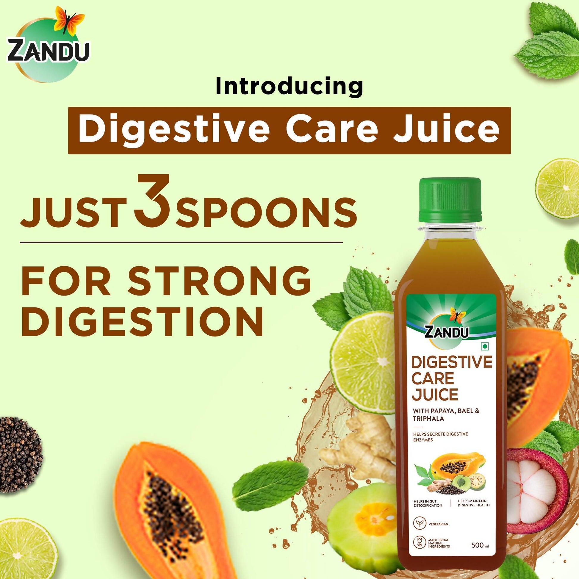 Zandu Digestive Care Juice - Indyancart