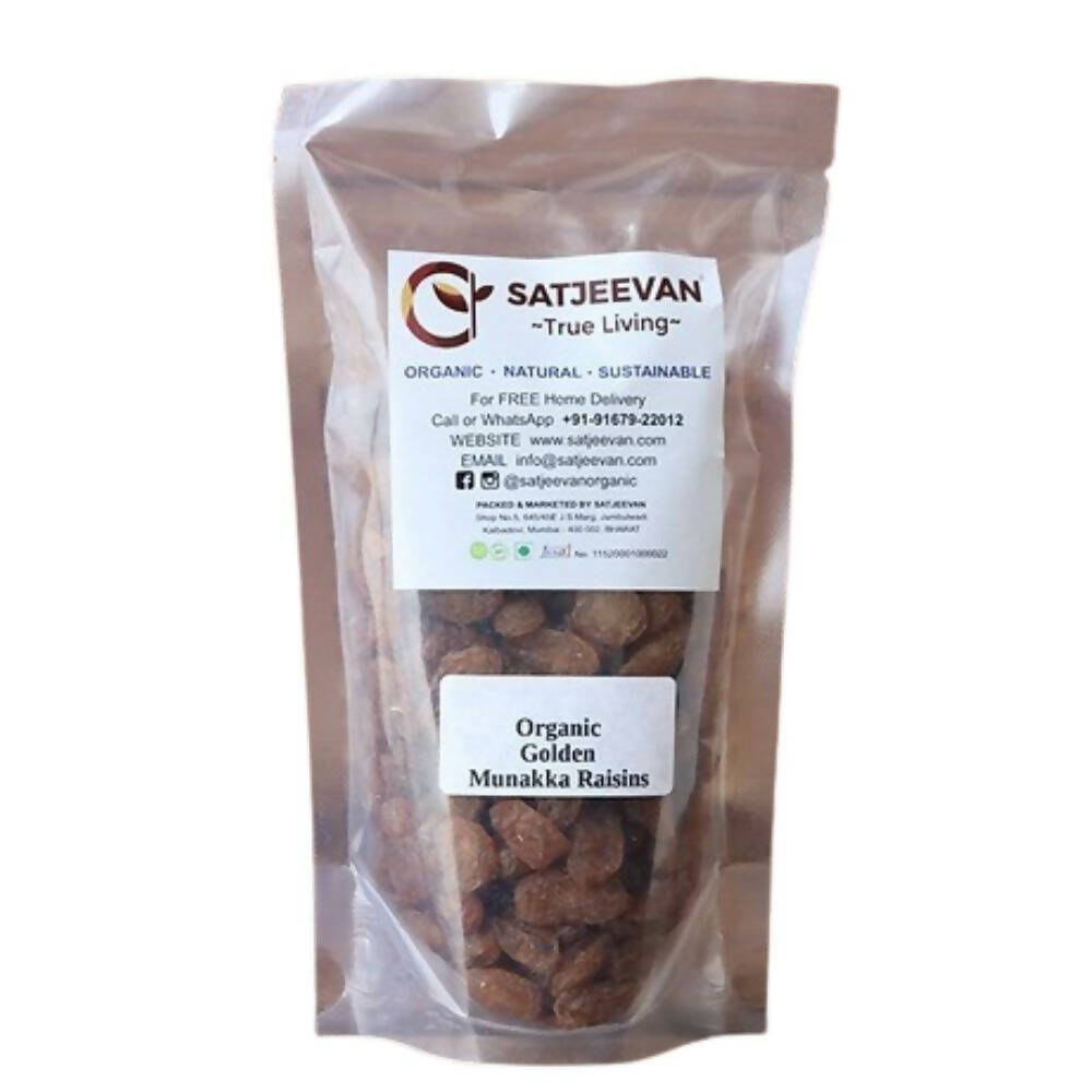 Satjeevan Organic Golden Munakka Raisins - Indyancart