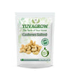 Yuvagrow Cashews Salted