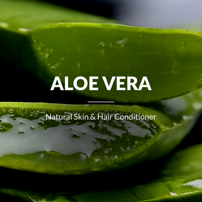 Lotus Botanicals 100% Pure Aloe Vera Gel With Vitamin E