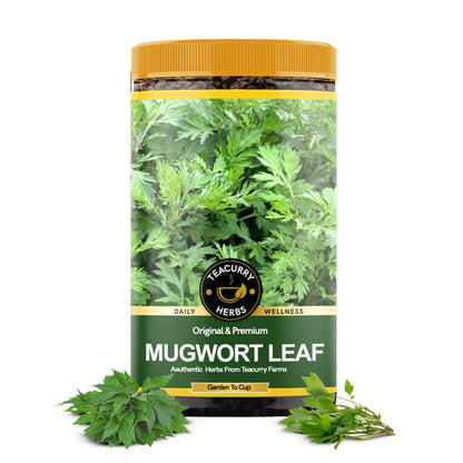 Organic Teacurry Mugwort leaves in a glass jar, showcasing fresh green herbal tea leaves ready for brewing.