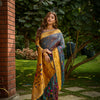 Dhiyona GR Women's Butterfly Grey Zari Paithani Silk Saree