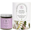 Earthful Gut Health Supplement - 100% Plant Based
