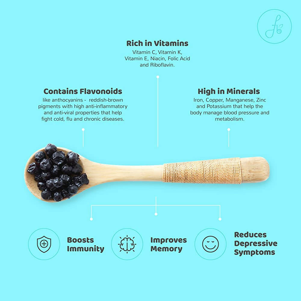 Flyberry Gourmet Dried Bold Blueberries - Indyancart