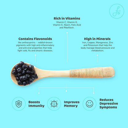 Flyberry Gourmet Dried Bold Blueberries - Indyancart