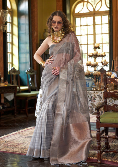 Indyancart GR Women's Essence Smoke Grey Organza Woven Printed Saree