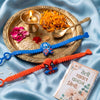 Dhiyona Rakhi