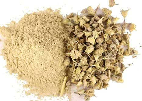 Hebsur Herbals Gokhru (Neglimul) Powder - Indyancart