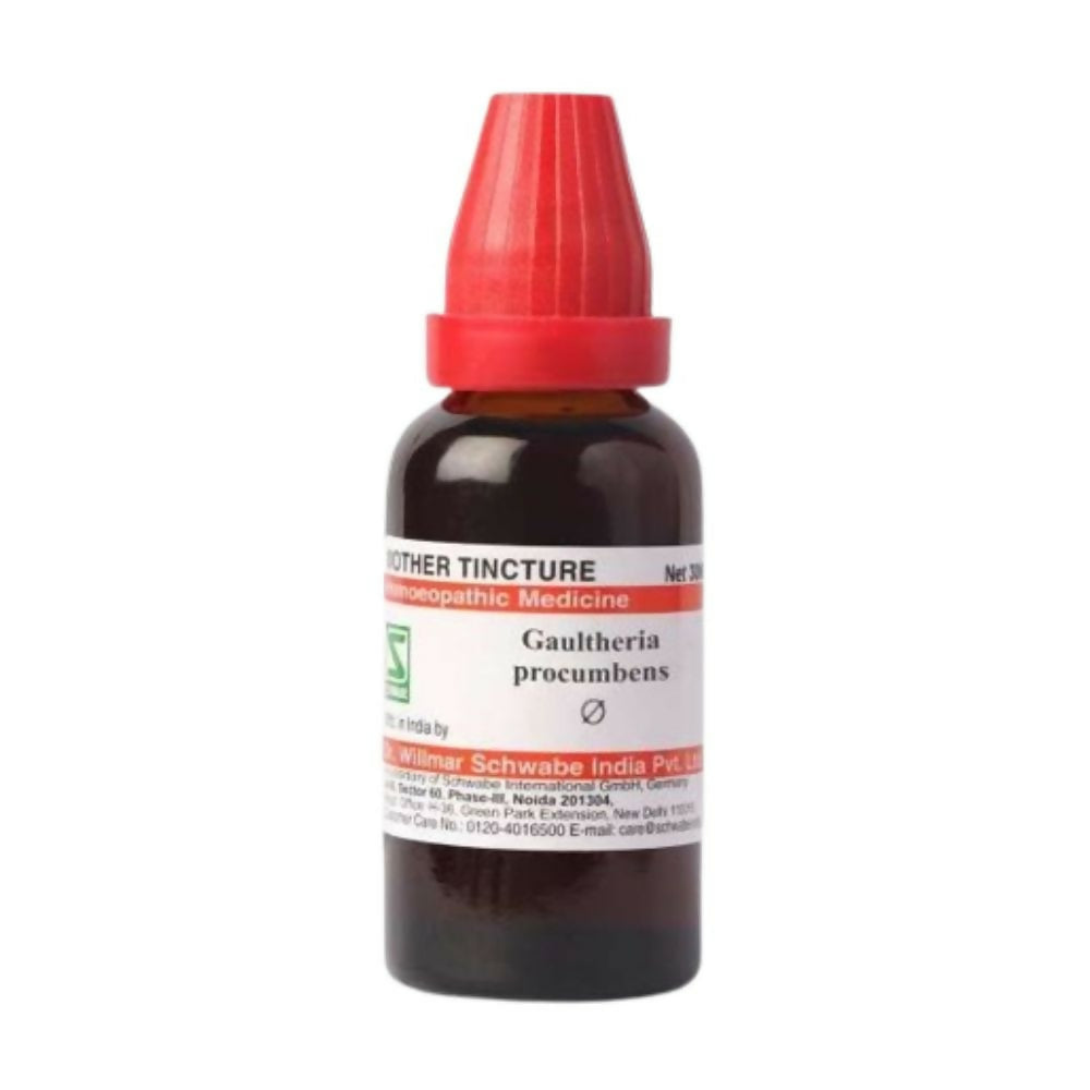 Dr. Willmar Schwabe India Gaultheria Procumbens Mother Tincture Q bottle with label and dropper for herbal homeopathic remedy.