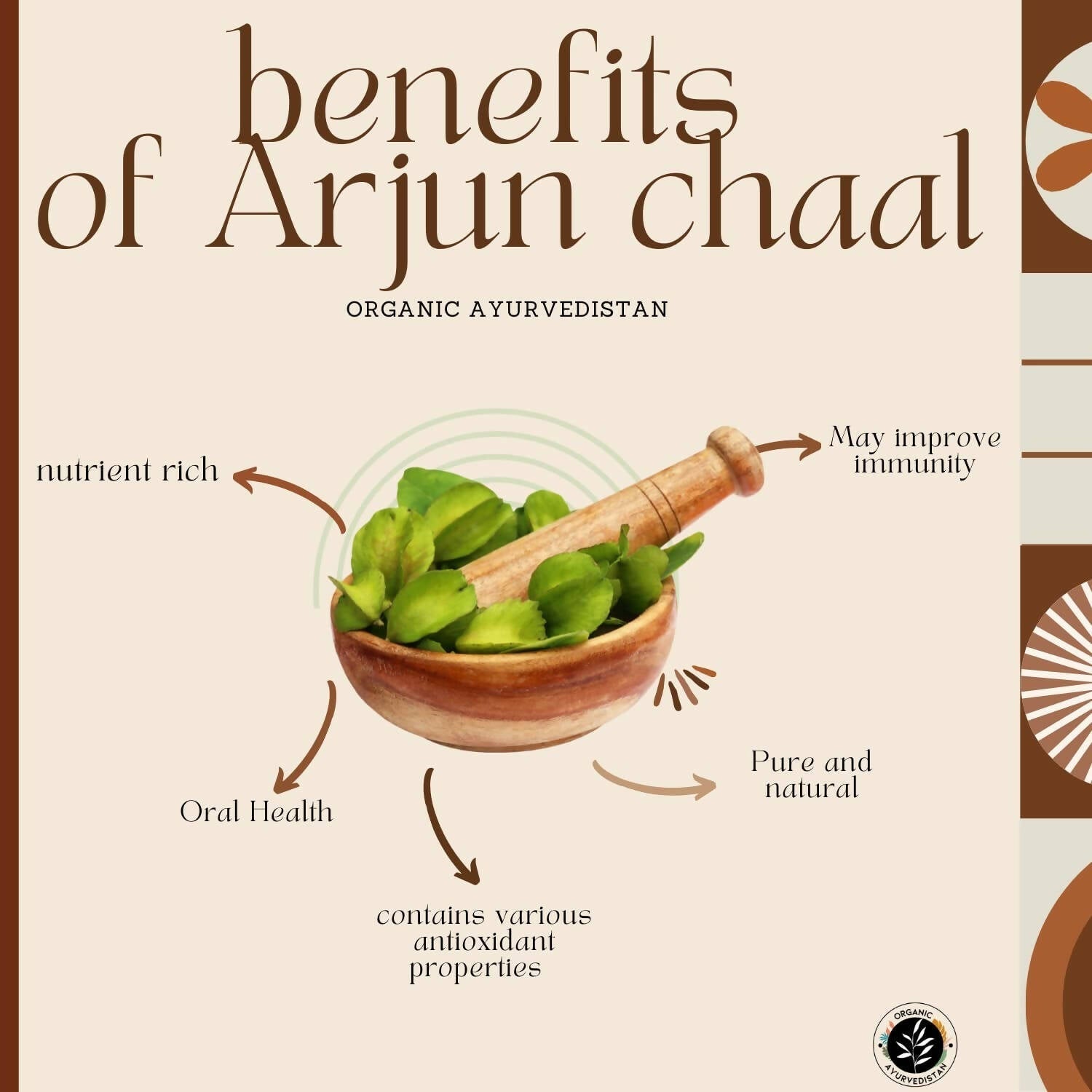 Organic Ayurvedistan Arjun Chaal Powder - Indyancart
