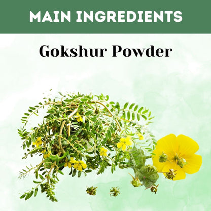 Herbal Hills Gokshur Powder