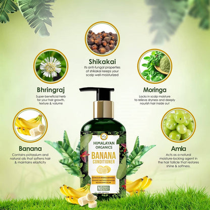 Himalayan Organics Banana Conditioner