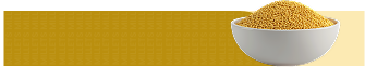 Collection Banner