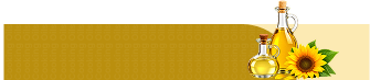 Collection Banner