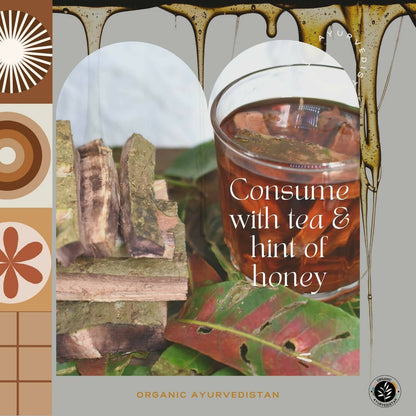 Organic Ayurvedistan Arjun Chaal Powder - Indyancart