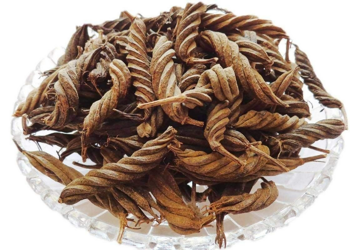 Yuvika Marod Phali (Helicteres Isora) Ayurvedic product showing dried Avaitini Screw Beans in a natural setting.