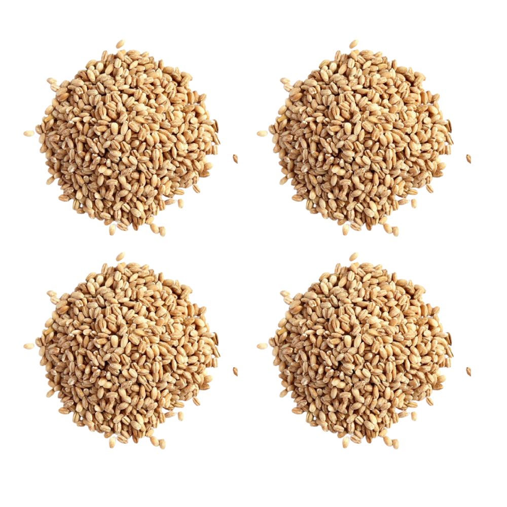 Hebsur Herbals Barley Seeds