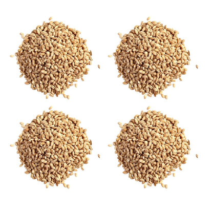 Hebsur Herbals Barley Seeds