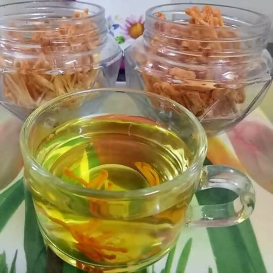 Cordy Herb Cordy Tea Dry Cordyceps Tea - Indyancart