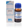 SBL Homeopathy Aesculus Hippocast Mother Tincture Q