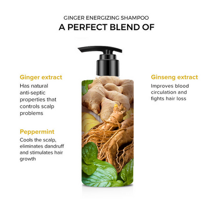 De Fabulous Ginger Energizing Shampoo bottle with vibrant label, featuring natural ginger ingredients and a sleek design.