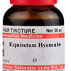 Dr. Willmar Schwabe India Equisetum Hyemale Mother Tincture Q