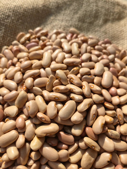 Hetha Himalayan White Rajma
