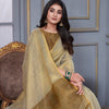 Dhiyona GR Women's Jheel Frost Grey & Gold Zari Woven Design Linen Jacquard Saree