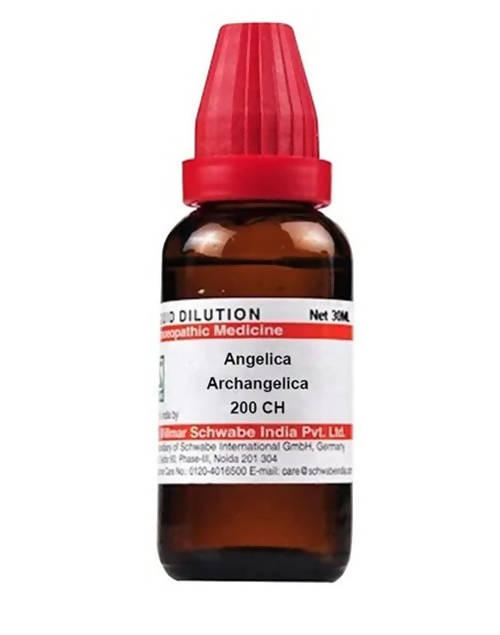 Dr. Willmar Schwabe India Angelica Archangelica Dilution