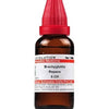 Dr. Willmar Schwabe India Brachyglottis Repens Dilution