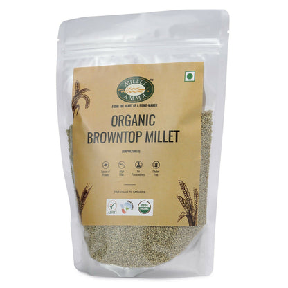 Millet Amma Organic Browntop Millet Grains - Indyancart