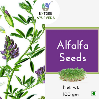 Nxtgen Ayurveda Alfa Alfa Seeds