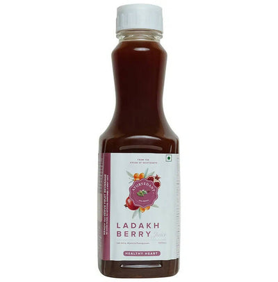 Baidyanath Jhansi Ladakh Berry Ready To Drink Juice
