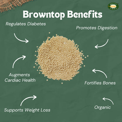 Millet Amma Organic Browntop Millet Grains - Indyancart