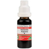 Adel Homeopathy Hamamelis Virginiana Mother Tincture Q