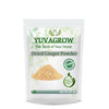 Yuvagrow Dried Ginger Powder