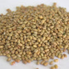 Freshon Natural Madike Kalu