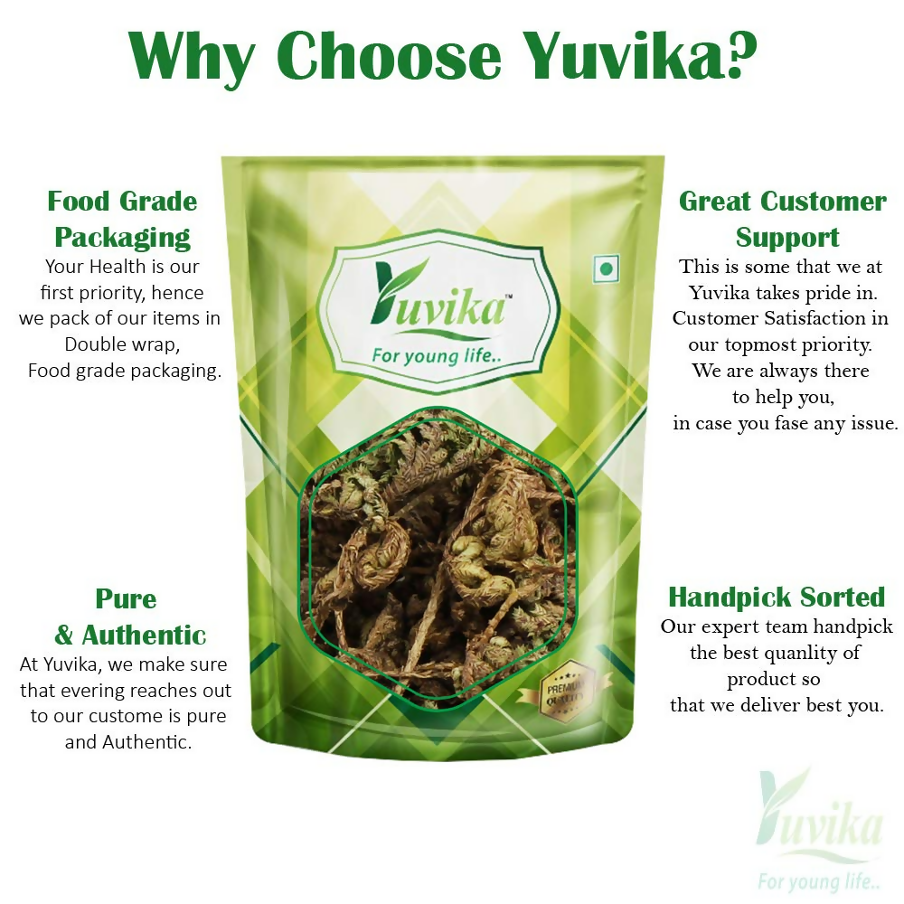 Yuvika Laxman Booti Ayurvedic herb in a small jar, used for traditional medicinal purposes, with green leafy appearance.