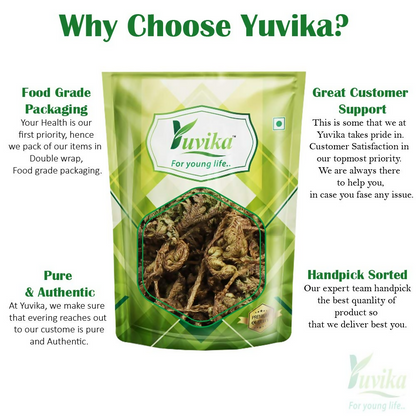 Yuvika Laxman Booti Ayurvedic herb in a small jar, used for traditional medicinal purposes, with green leafy appearance.