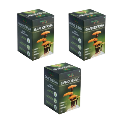 Nature Sure Ganoderma Ling Zhi Reishi Mushroom Capsules
