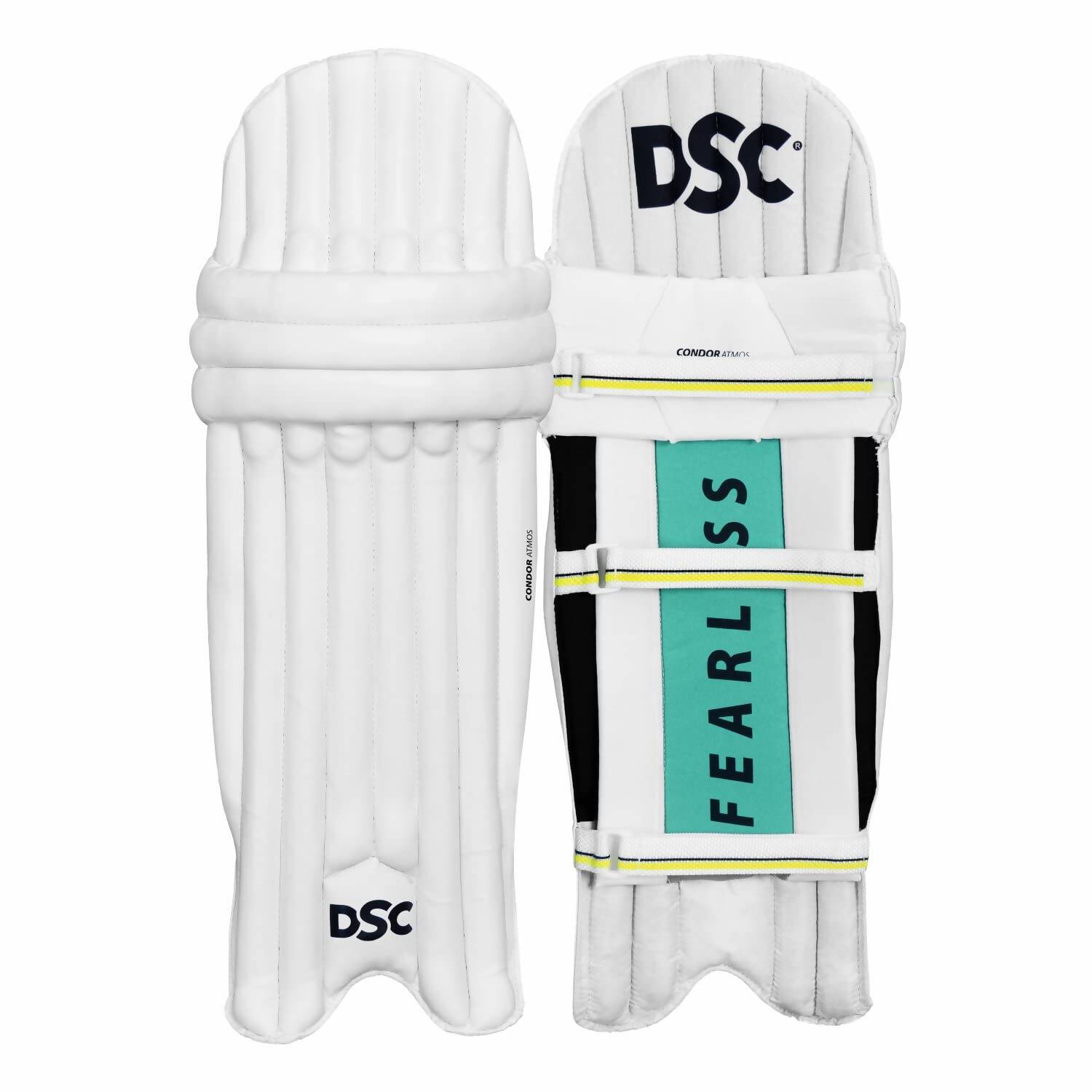 DSC Economy Kashmir Willow Cricket Kit Size 5 with bat, pads, and gloves for beginner cricket players.