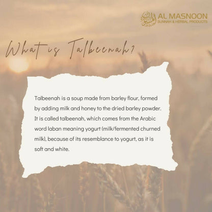 Al Masnoon Talbina Special With Dry Fruits - Indyancart