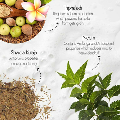 Kapiva Ayurveda Hair Rituals Neem Triphaladi Shampoo for Dandruff Control - Indyancart