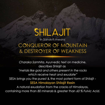 Sesa Wellness Himalayan Sj Resin - Indyancart