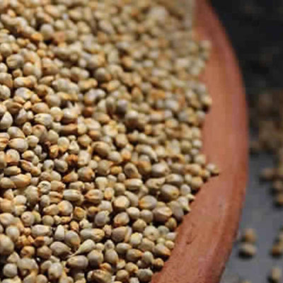 Freshon Pearl Millet - Natural