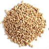 Hebsur Herbals Barley Seeds