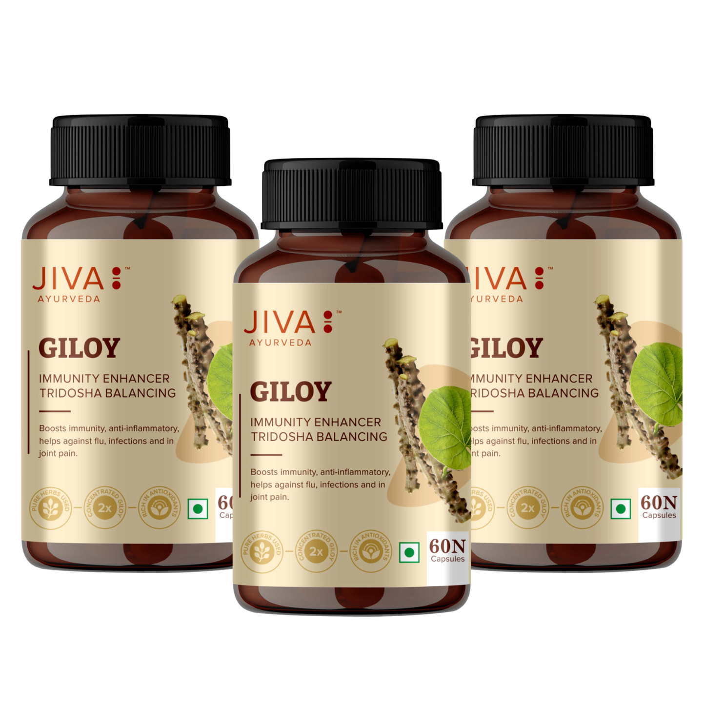 Jiva GiloyCapsule for Digestion | 100% Pure & Natural | Ageing and Immunity Boost - 60 Capsule