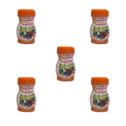 Patanjali Special Chyawanprash - Indyancart