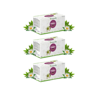 Planet Ayurveda Diaplan Tea